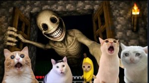 КОТИК НАШЕЛ ВЕРИТИ В МАЙНКРАФТЕ! Minecraft