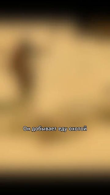 Кино без лишних слов ⏱️🎥🧠🔥 смотреть онлайн
