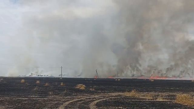 В Нефтекумском округе Ставрополья сгорело 140 гектаров пшеницы смотреть онлайн