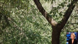 Краткое содержание фильма « Одноклассники.Бывших не бывает «2024 г.).