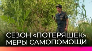 Спасатели напоминают новгородцам, как безопасно отправляться за ягодами и грибами