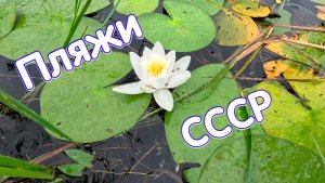 Разведка пляжей СССР