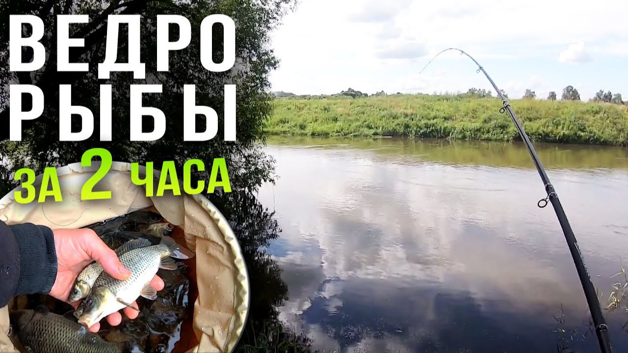 Ловля фидером на реке, нашли самое рыбное место смотреть онлайн