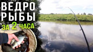 Ловля фидером на реке, нашли самое рыбное место