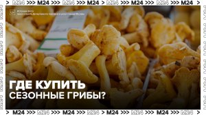 Свежие лисички привозят в Москву из Краснодарского края и других регионов - Москва 24