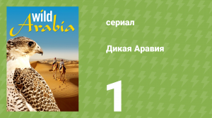 Дикая Аравия 1 сезон 1 серия (документальный сериал, 2013)