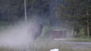 Космическая программа в американском заповеднике Йеллоустоун. Полет нормальный, 3-4 метра.