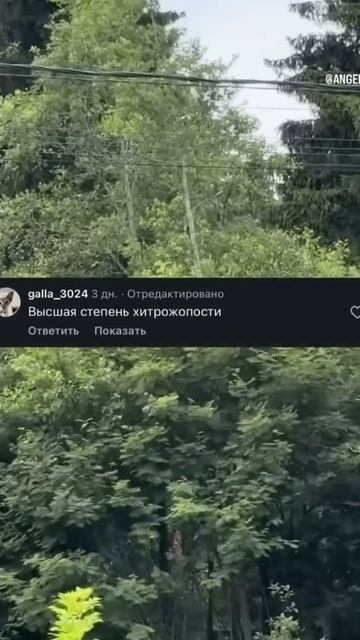 Когда будут адекватные комментарии, позовите смотреть онлайн