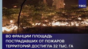 Во Франции площадь пострадавших от пожаров территорий достигла 32 тыс. га
