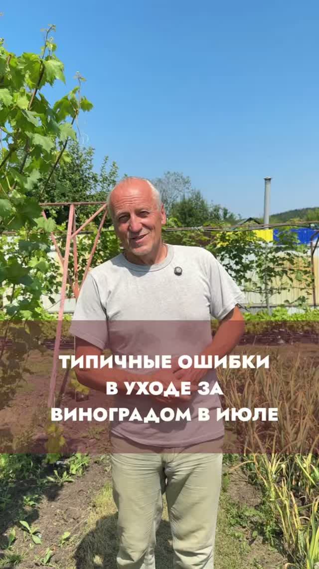 ТИПИЧНЫЕ ОШИБКЕ В УХОДЕ ЗА ВИНОГРАДОМ В ИЮЛЕ. смотреть онлайн
