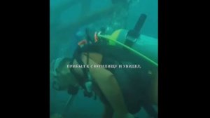 Невероятная дружба человека и рыбы