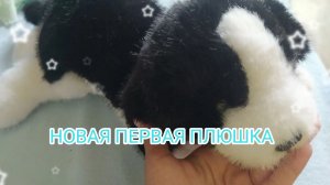 НОВАЯ СОБАКА❤️❤️❤️