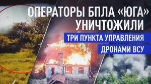 FPV-дроны поразили замаскированные позиции ВСУ в Алексеево-Дружковке и Николайполье