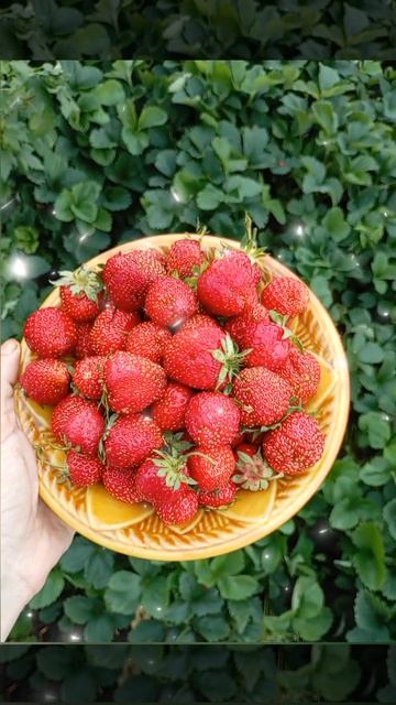 мммм...клубничка