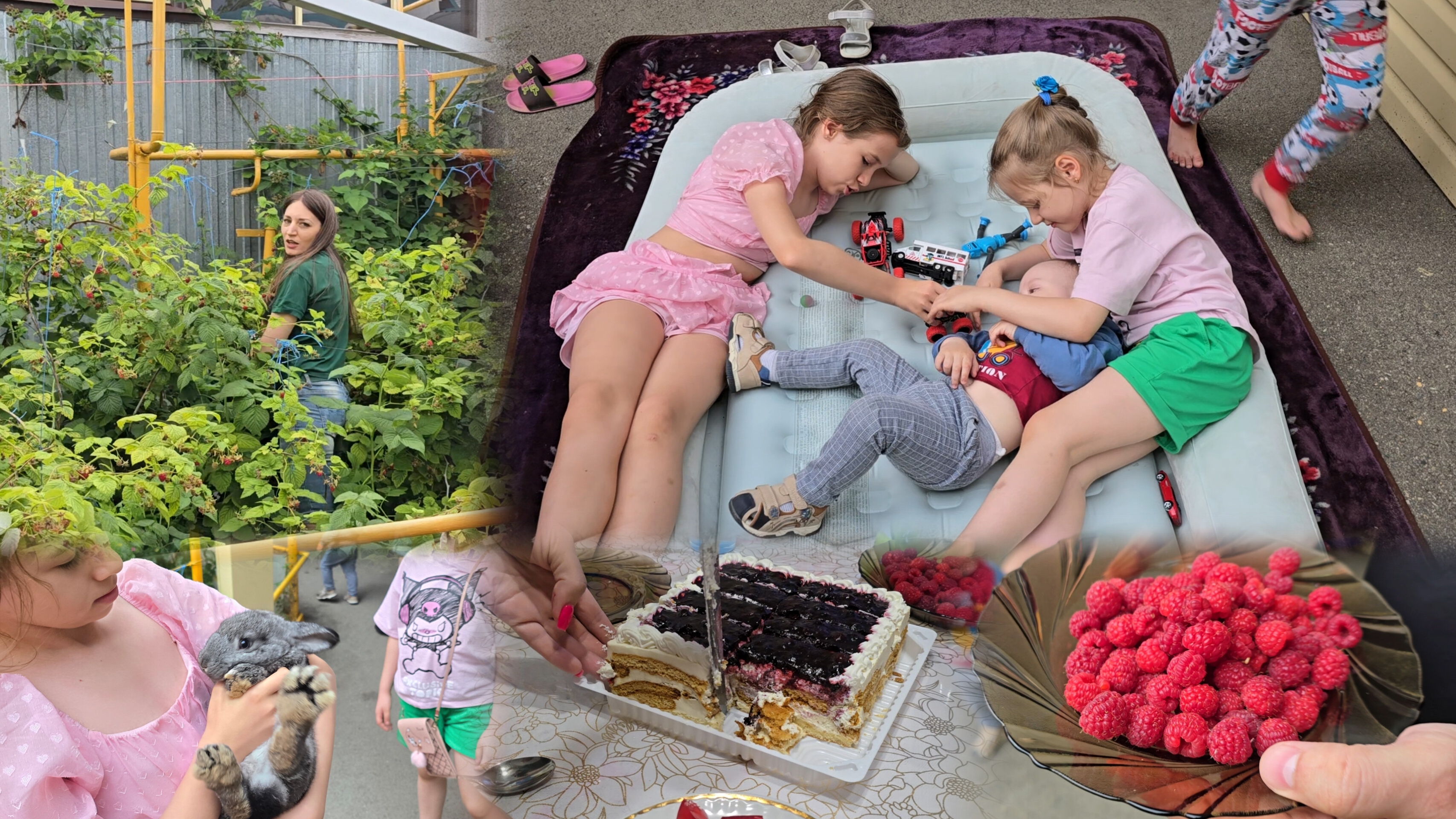 У бабушки весело 🥳 Много малины 🍓 Попили чай с тортиком 🍰 смотреть онлайн