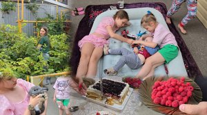 У бабушки весело 🥳 Много малины 🍓 Попили чай с тортиком 🍰