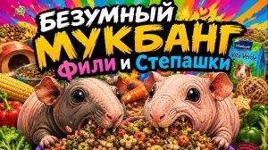 Безумный мукбанкг морских свинок.