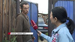 Свиноферма на берегу Селенги. Жители Левого берега задыхаются от вони