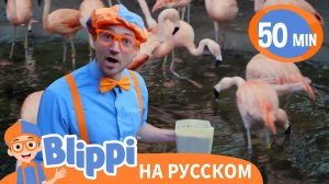 Блиппи играет с животными в зоопарке _ Изучай этот мир вместе с Блиппи _ Обучающие
