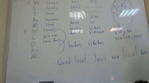 Латынь_7. Декабрь 2016. Д. Е. Новокшонов