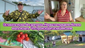 Оставила мужа без завтрака. Нервы на пределе. Хотела ехать искать. Что творится в нашем селе