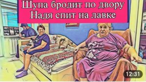 САМВЕЛ АДАМЯН, ОБЗОР ОТ ОЛЬГИ, НАДЯ ВЫВЕЛА ШУПУ ГУЛЯТЬ, А САМА ХРАПИТ ПОД ПОДЬЕЗДОМ, ВПЕРЕДИ СБОР..