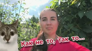 День почти погожий, но не продуктивный... 14.07.2026