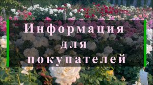 Информация для покупателей