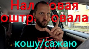 Скоро будет дренаж участка. Продолжаю посадки. Налоговая оштрафовала за 2024й