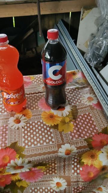 шорц