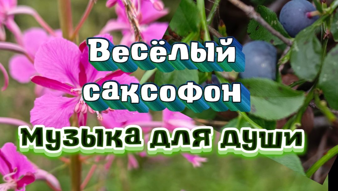Музыка для души