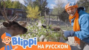 Блиппи и охота за снежинками _ Блиппи на Русском _ Изучай этот Мир вместе с Блиппи _