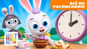 Режим дня и гигиена. Цветняшки. Сборник серий