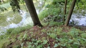 Часовая рыбалка в Барвихе на речке Саминка 🎣