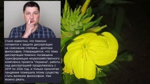 Николаев 15 июля 2026 года (новости)