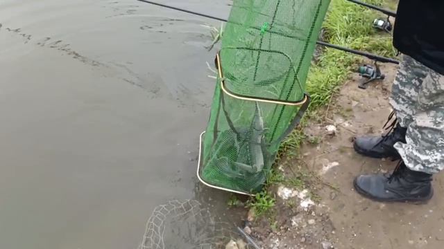 1000158178.mp4 смотреть онлайн