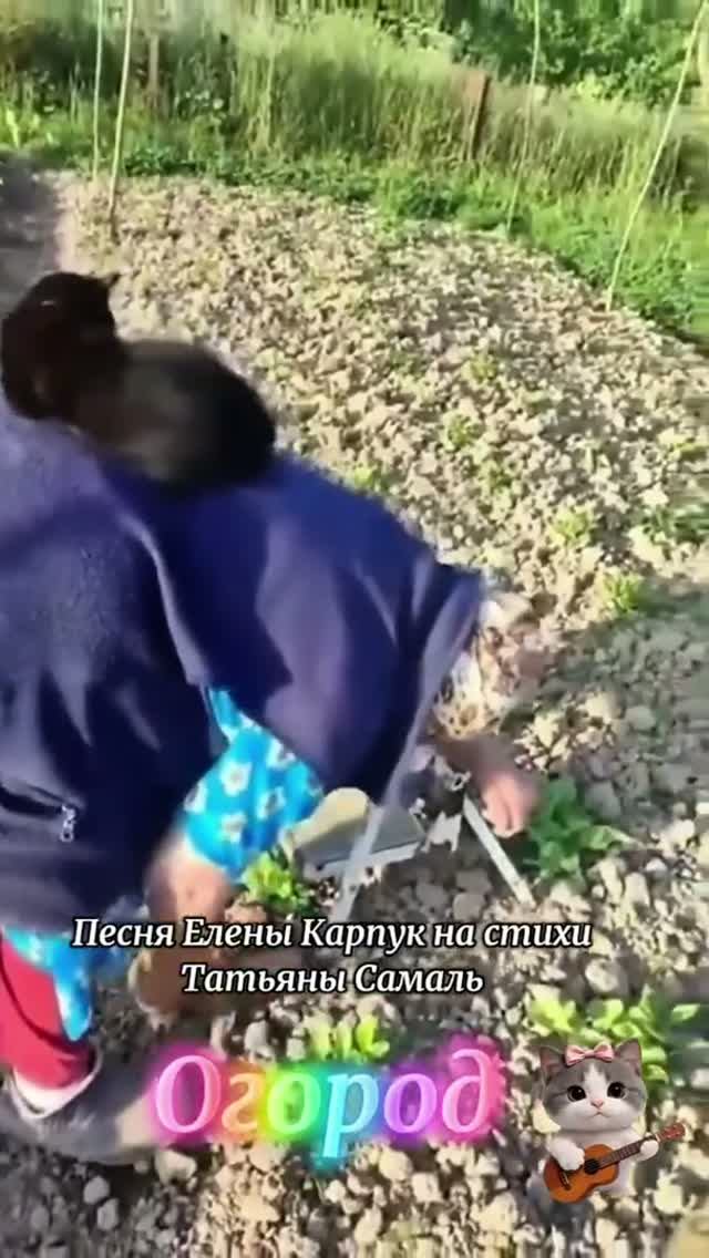 Огород