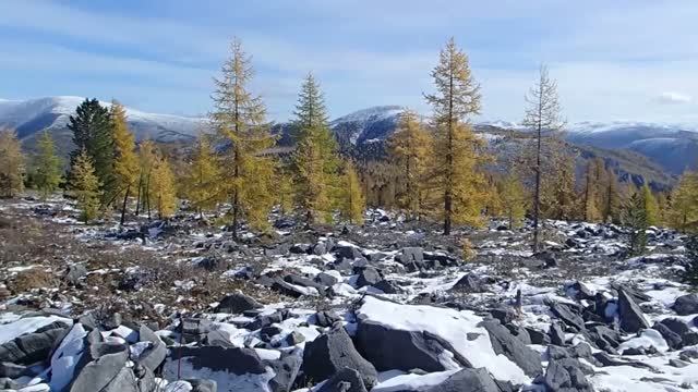 КOHНАЯ ОХОТА смотреть онлайн