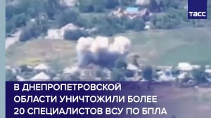 В Днепропетровской области уничтожили более 20 специалистов ВСУ по БПЛА