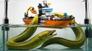 Я испытал лодки ЛЕГО против настоящих морских обитателей!
