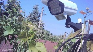 Обзор: «Солнечный светильник SOLAR заряжается»