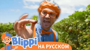 Блиппи изучает полезную еду на ферме Танаки _ Блиппи на Русском _ Blippi