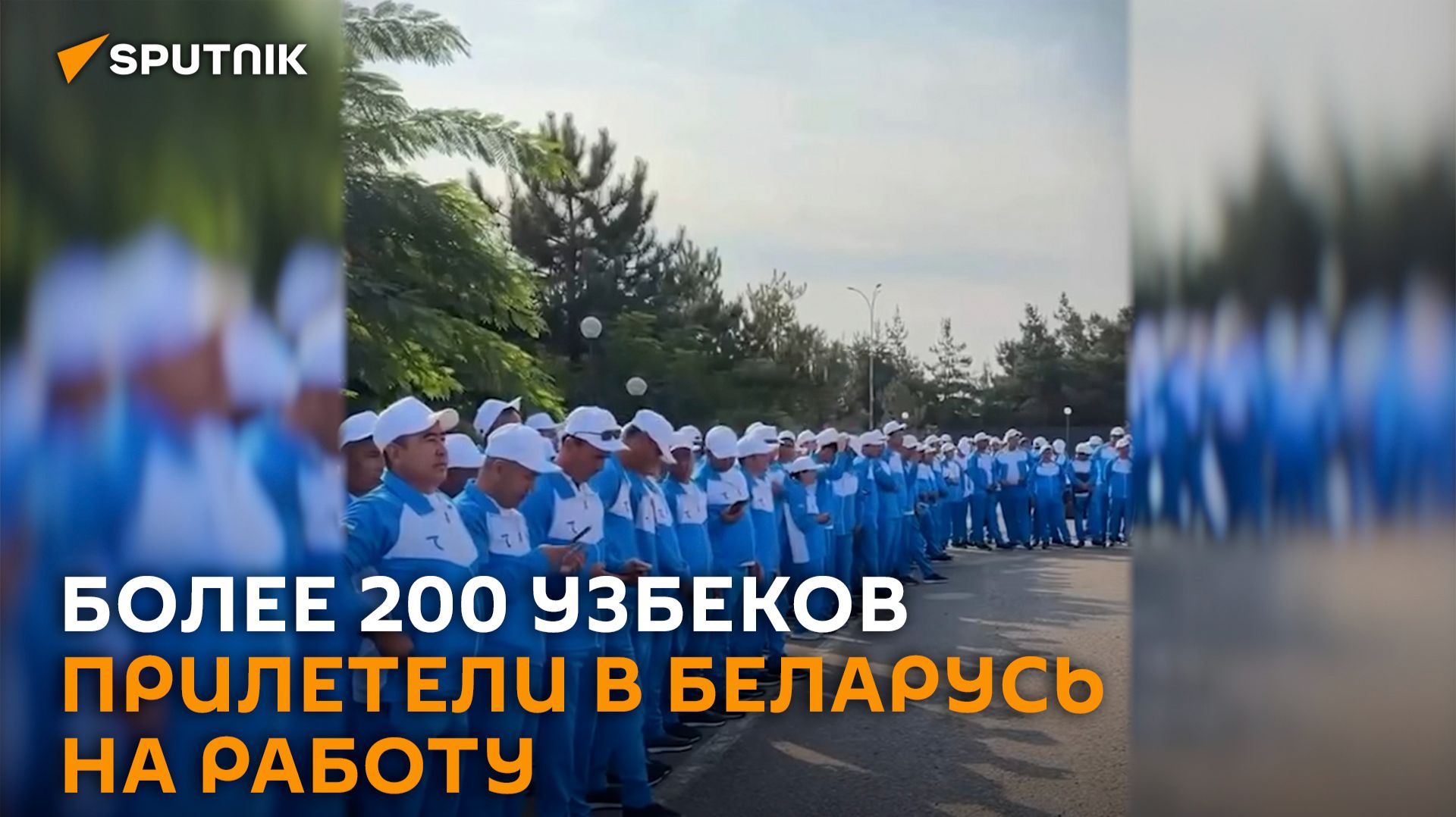 Более 200 узбеков прилетели в Беларусь на работу