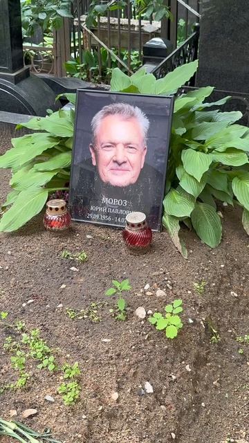 Как сегодня выглядит могила родителей актрисы Дарьи Мороз / Марина Левтова и Юрий Мороз