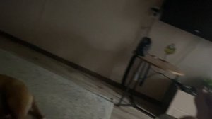 Одним шагом ускользает