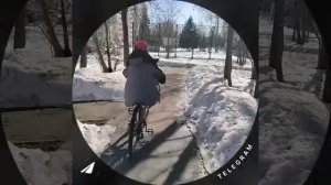 безногии