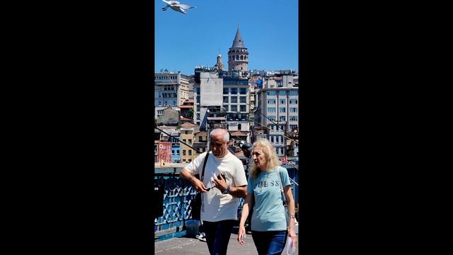 рыбалка с моста смотреть онлайн