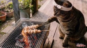 Японский Котик и праздник