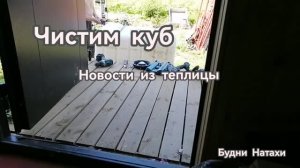 Очистка куба для воды. Стройка. Дача. Арбузы в Подмосковье 2026.