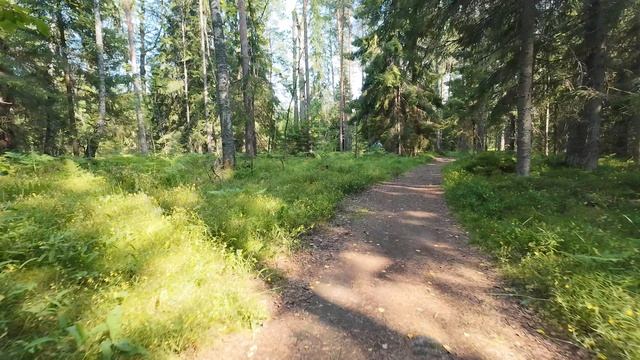 Тарасовское 2026.07.11-16.mp4 смотреть онлайн